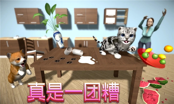 猫咪模拟器无限金币版最新版