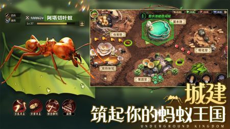 小小蚁国无限金币版下载