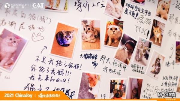 ChinaJoy现场撸猫 西山居Project Cat展区人类爱猫行为大赏