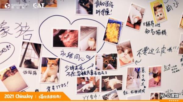 ChinaJoy现场撸猫 西山居Project Cat展区人类爱猫行为大赏