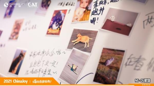 ChinaJoy现场撸猫 西山居Project Cat展区人类爱猫行为大赏