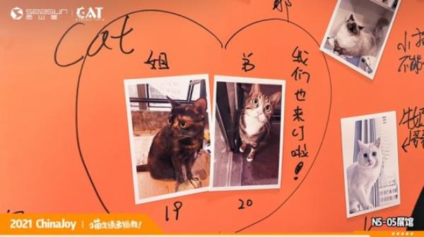 ChinaJoy现场撸猫 西山居Project Cat展区人类爱猫行为大赏