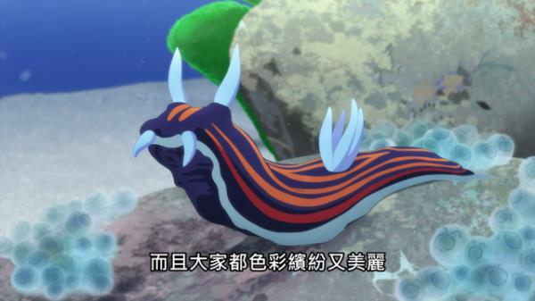 白沙的水族馆第21话免费全集高清剧情_白沙的水族馆第21话超清HD画质完整视频