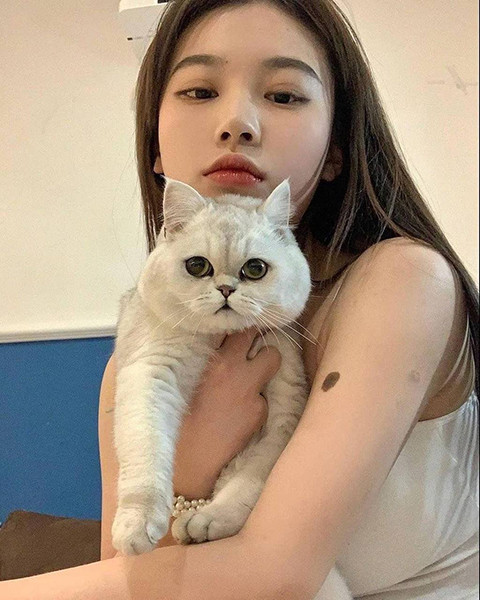 √最新版天堂网www疑似被封禁了?热心市民：我刚看完呢