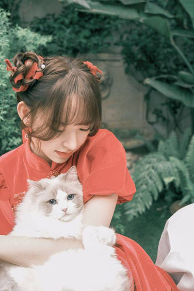 精东影业天美传媒app大全：聚合全网众多传媒影视片资源的播放器软件