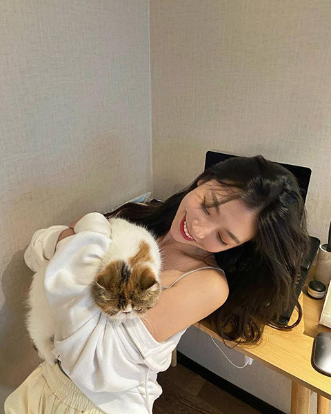 樱花草视频在线观看高清免费官网题材很新颖，网友：难怪受欢迎！