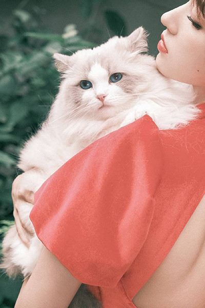 蜜芽.miya796.cnn永不失联解锁版：一款深夜在线看影视不用花钱的神器