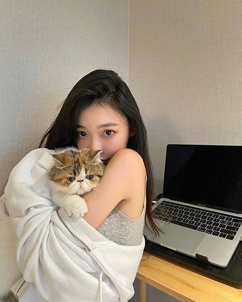 樱花草视频在线观看高清免费官网解析功能强大，网友表示：支持视频格式解码!